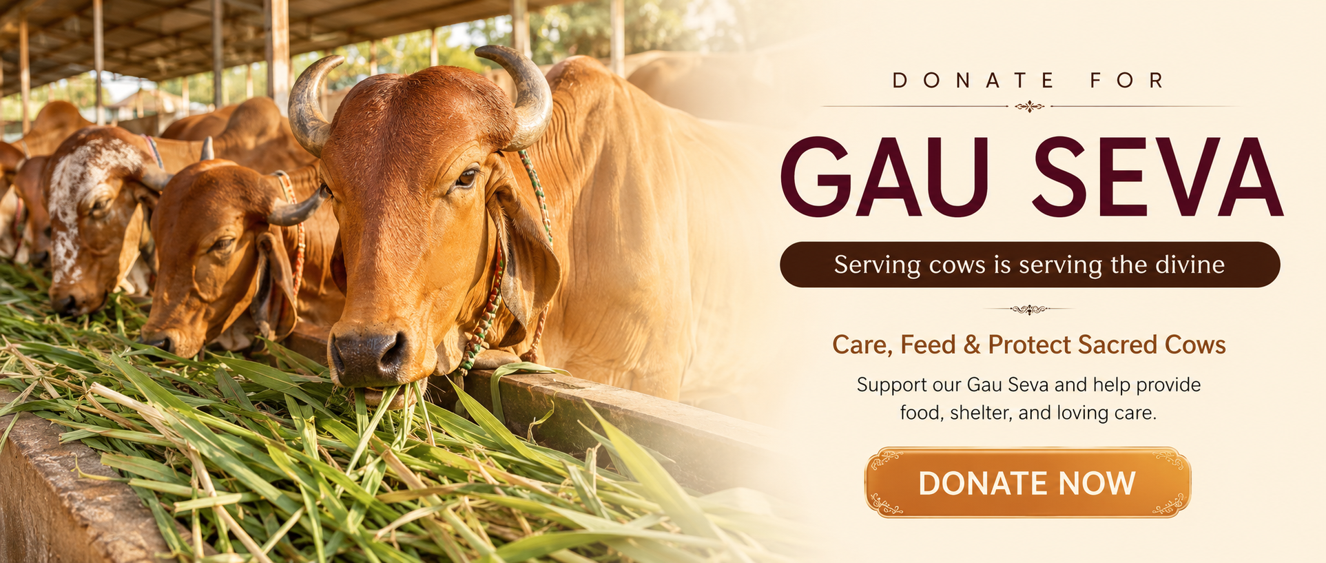 Gau Seva — sacred service